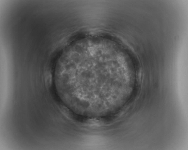 X0000113290703200909281012