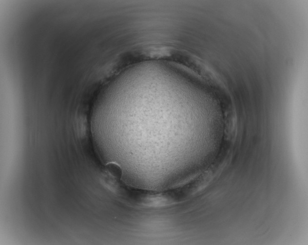 X0000113290704200909281012