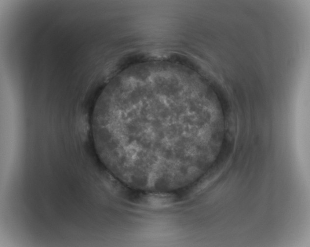 X0000113290707200909281012