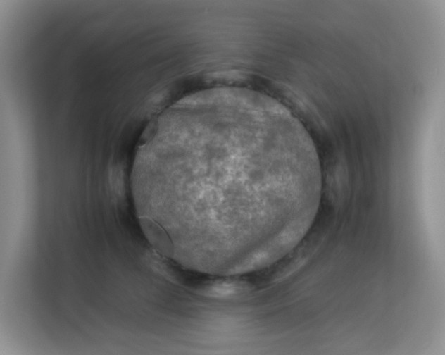 X0000113290708200909281012