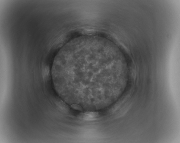 X0000113290711200909281012