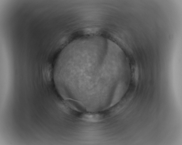 X0000113290712200909281012