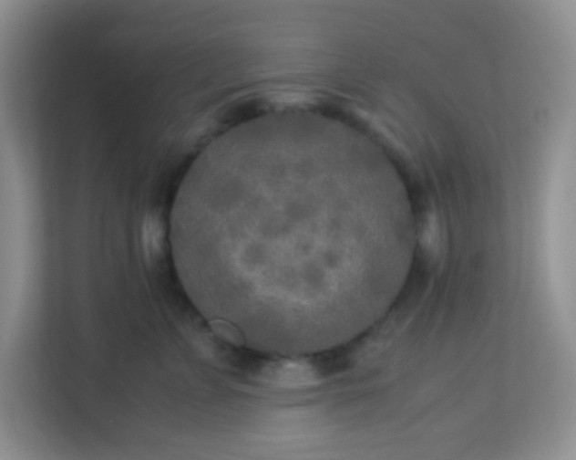 X0000113290715200909281012