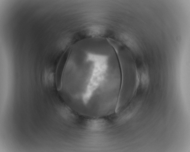 X0000113290716200909281012