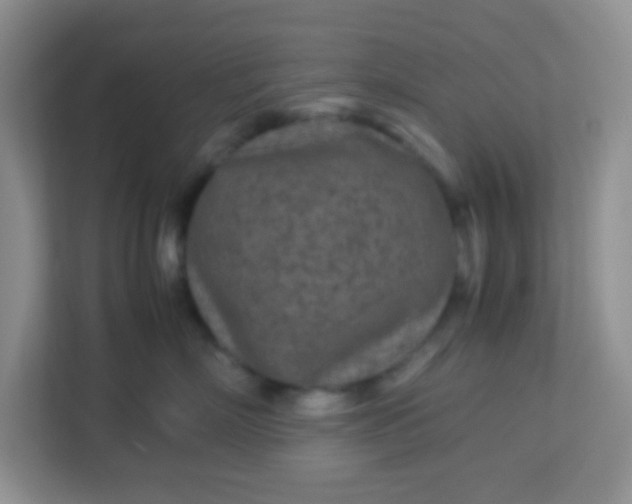 X0000113290718200909281012