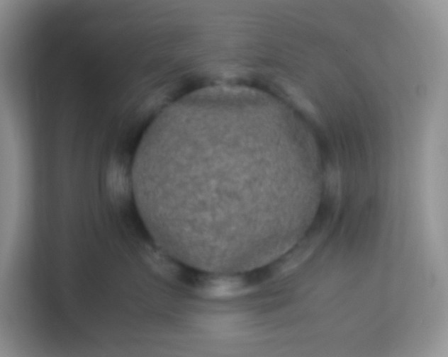 X0000113290719200909281012