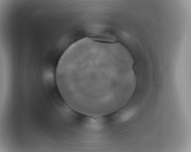 X0000113290720200909281012