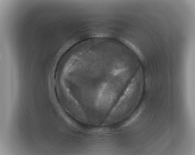 X0000113290721200909281011