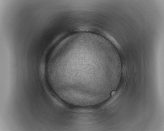 X0000113290722200909281011