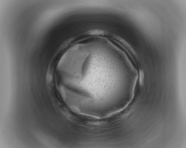 X0000113290723200909281011