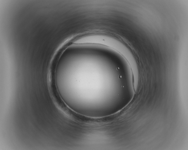 X0000113290726200909281011