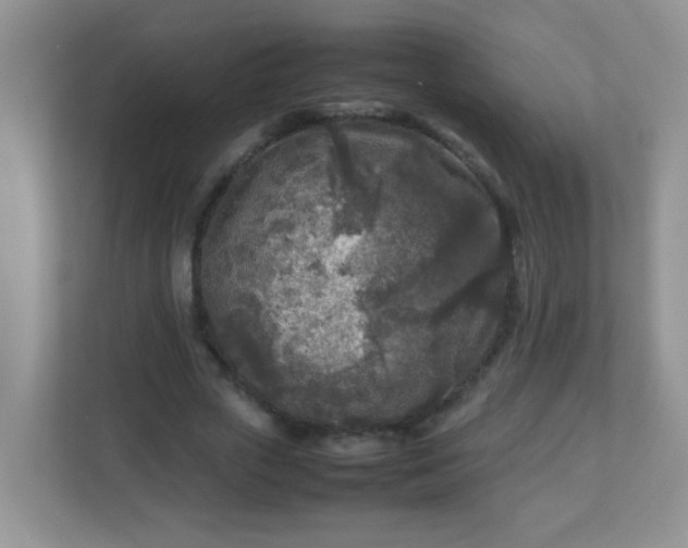 X0000113290729200909281011