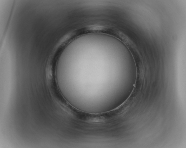 X0000113290731200909281011