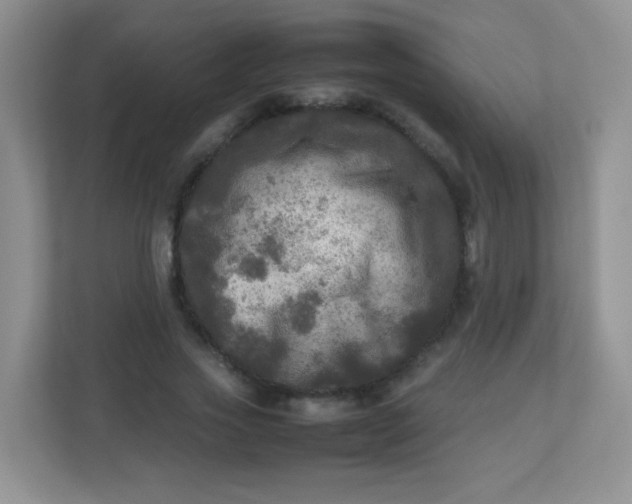 X0000113290733200909281011