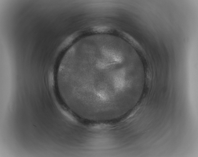 X0000113290734200909281011