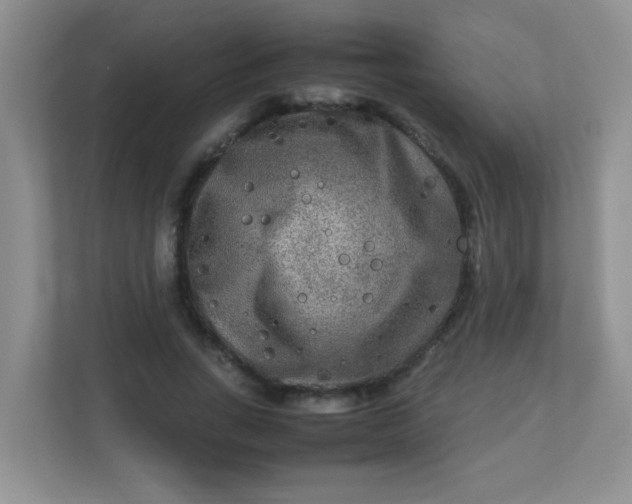 X0000113290735200909281011