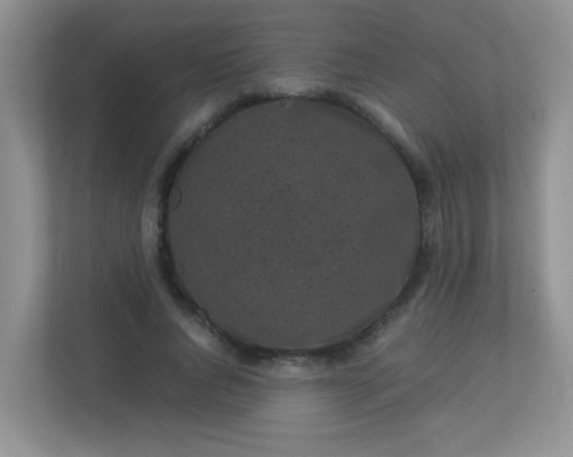 X0000113290736200909281011