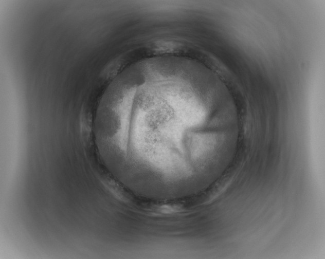 X0000113290737200909281011