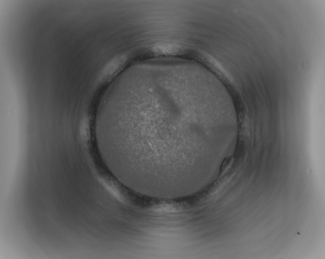 X0000113290738200909281011