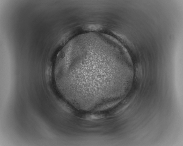 X0000113290739200909281011