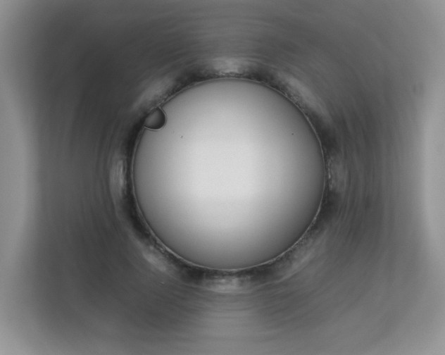 X0000113290740200909281011