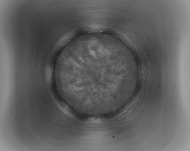 X0000113290742200909281011