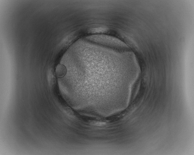 X0000113290743200909281011