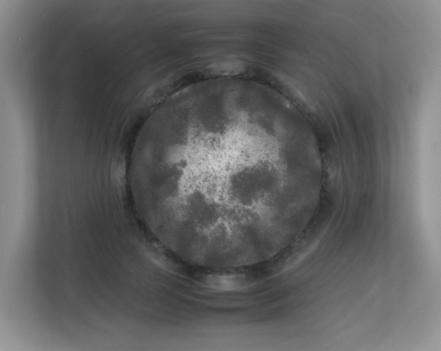 X0000113290745200909281012