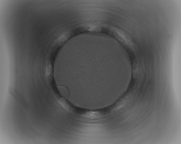 X0000113290748200909281012