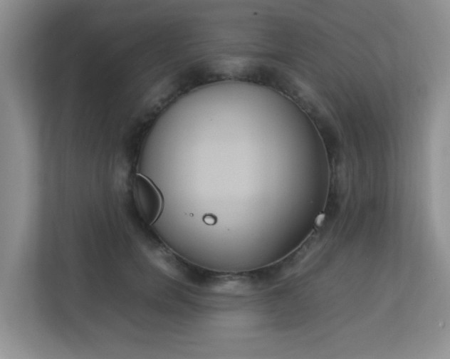 X0000113290750200909281012