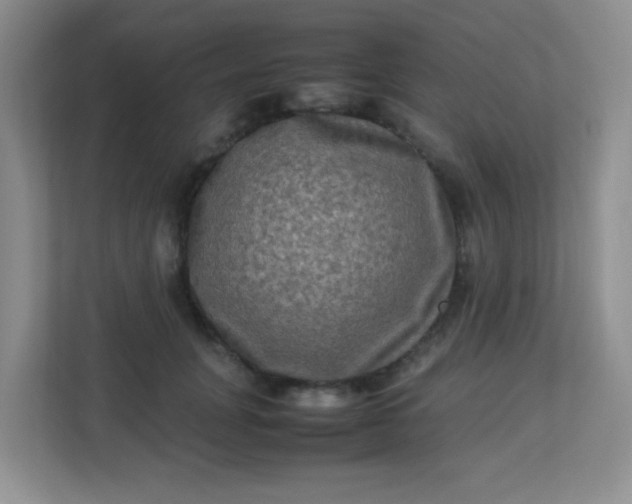 X0000113290751200909281012