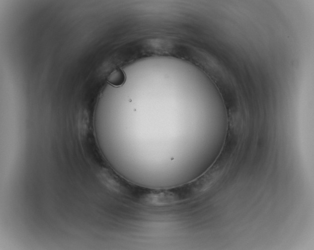 X0000113290752200909281012