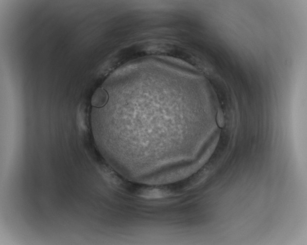 X0000113290755200909281012