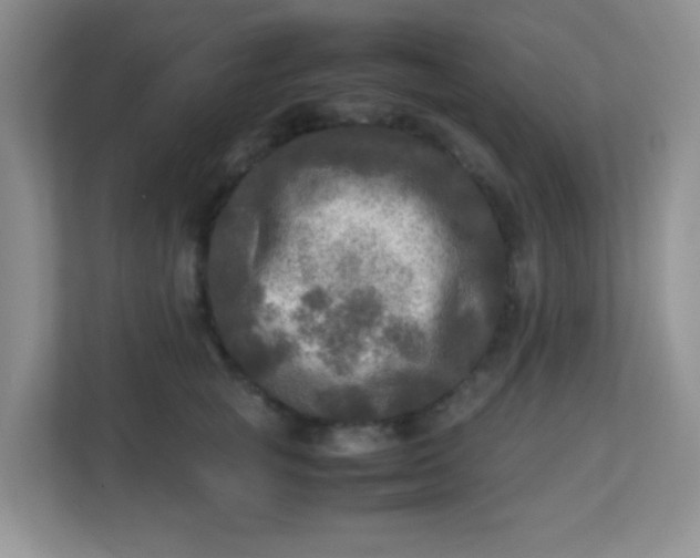 X0000113290757200909281012