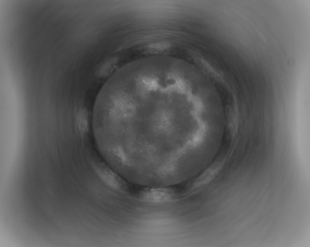 X0000113290758200909281012