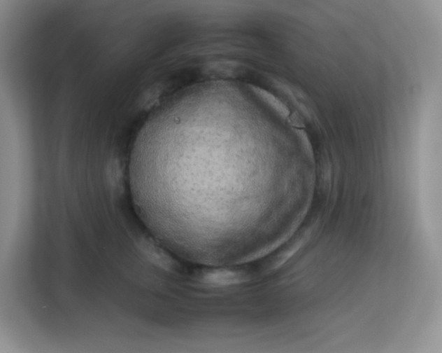 X0000113290759200909281012