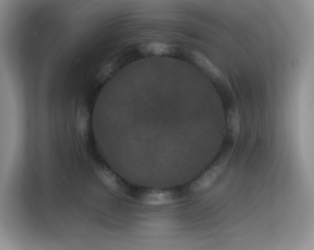 X0000113290760200909281012