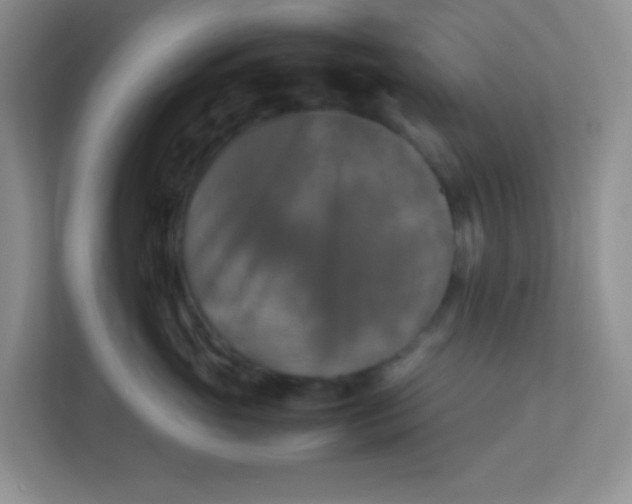 X0000113290765200909281012