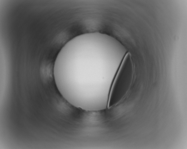 X0000113290768200909281012