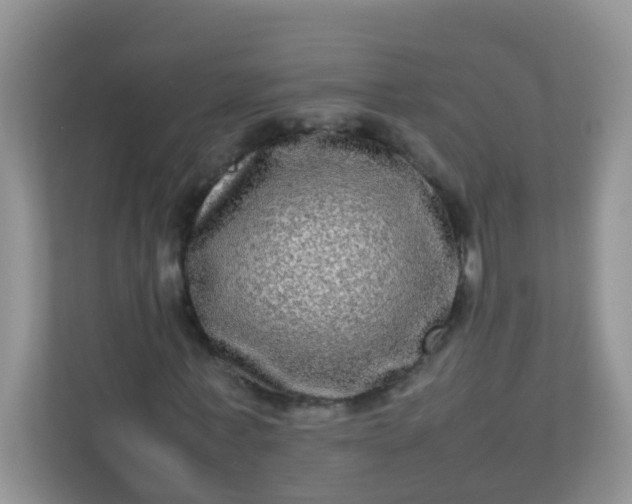 X0000113290771200909281011