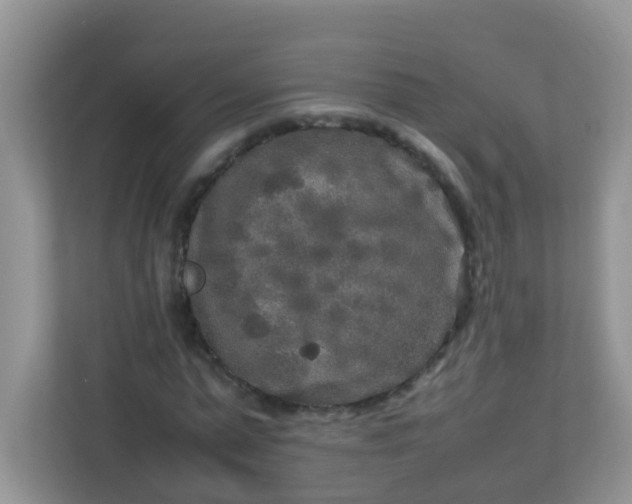 X0000113290775200909281011