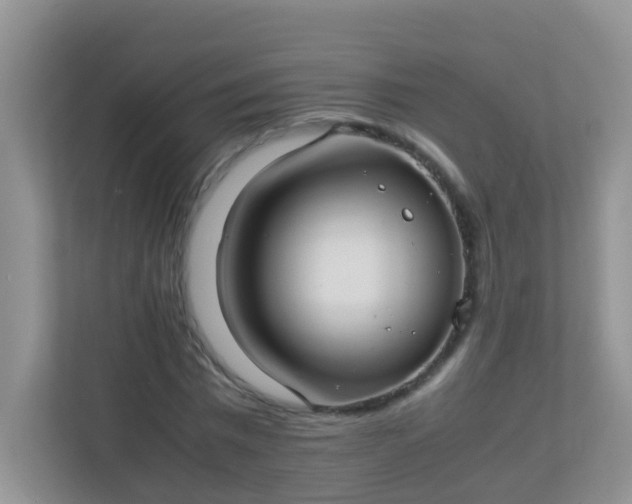 X0000113290777200909281011