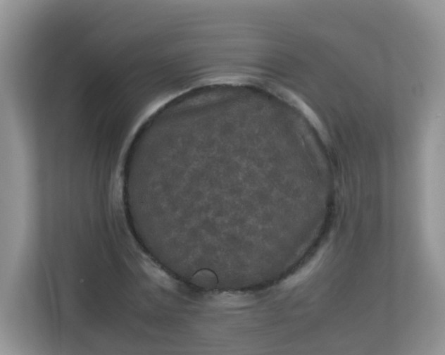 X0000113290779200909281011