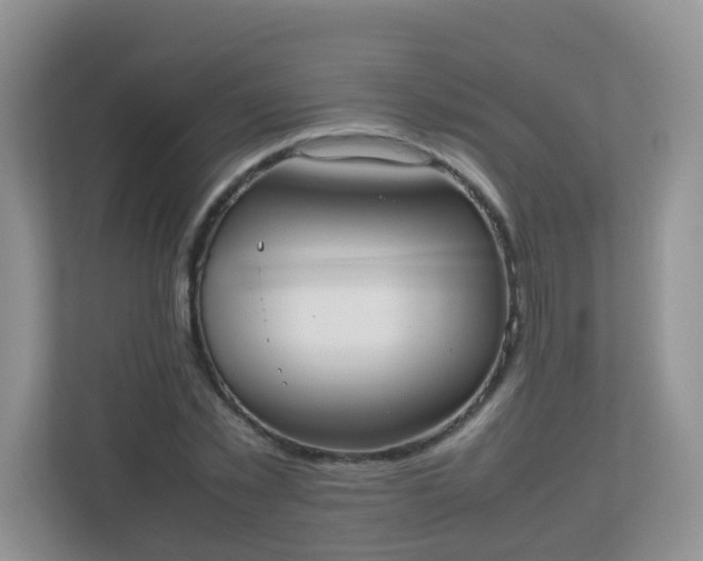 X0000113290781200909281011