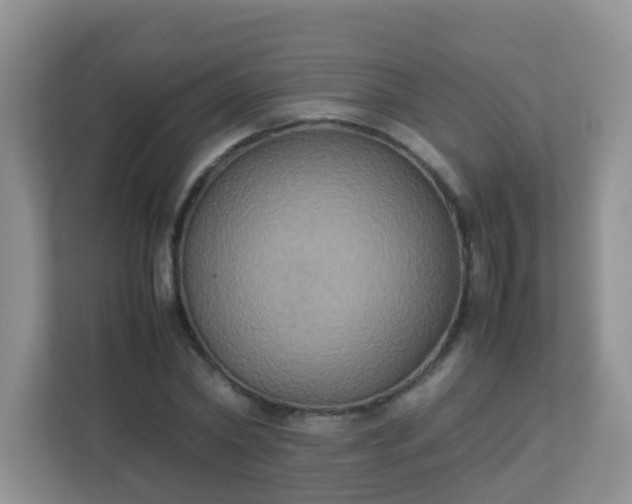 X0000113290782200909281011