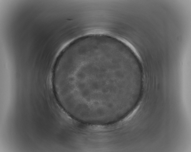 X0000113290783200909281011