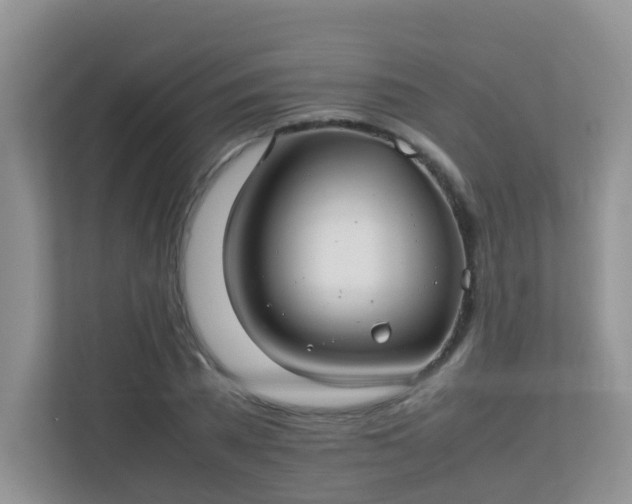 X0000113290785200909281011