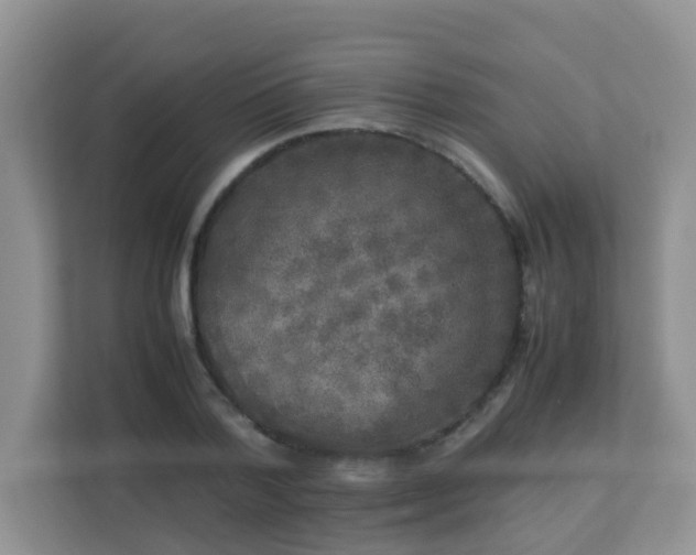 X0000113290788200909281011