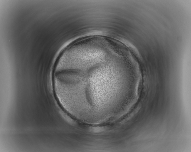 X0000113290792200909281011