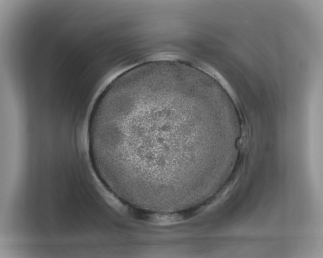 X0000113290795200909281011